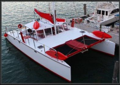 50' Catamaran